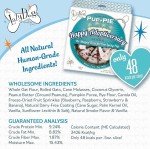 Original Pup-Pie Dog Celebration Treats - 10 Biscuits