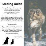 Ancestral Raw Nutrition Dog Food - 30 Packs