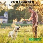 Freeze-Dried Chicken & Veggies - High-Protein Pet Treats
