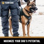 Team Dog Raw Frozen Beef & Herring Dog Food