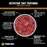 Team Dog Raw Frozen Beef & Herring Dog Food