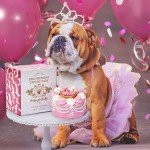 Pink Princess Peanut Butter Dog Birthday Cake