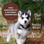 Primal Freeze Dried Puppy Food Mini Nuggets