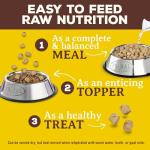 Primal Freeze Dried Puppy Food Mini Nuggets