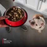 Nulo MedalSeries Chicken Freeze-Dried Dog Food Toppers