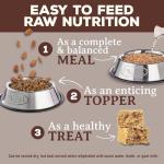 Venison Freeze-Dried Raw Dog Food Nuggets