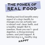 Duck Recipe Freeze-Dried Raw Dog Food - 48oz