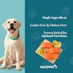 McLovin's Freeze-Dried Raw Salmon Dog Treats