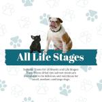 McLovin's Freeze-Dried Raw Salmon Dog Treats