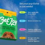 Joy Freeze Dried Raw Beef Meal Mixer for Dogs