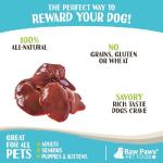 Raw Paws Frozen Chicken Liver Treats for Pets