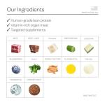 Maev Raw Dog Food with Lean Beef Protein 10lbs