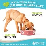 Raw Paws Green Beef Tripe Dog Food Rolls