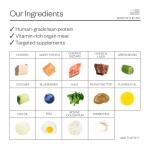 Maev Raw Puppy Food with Chicken and Veggies