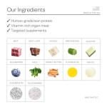 Maev Raw Dog Food with Lean Beef - 10 lbs