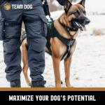 Team Dog Raw Chicken for High-Protein Dogs