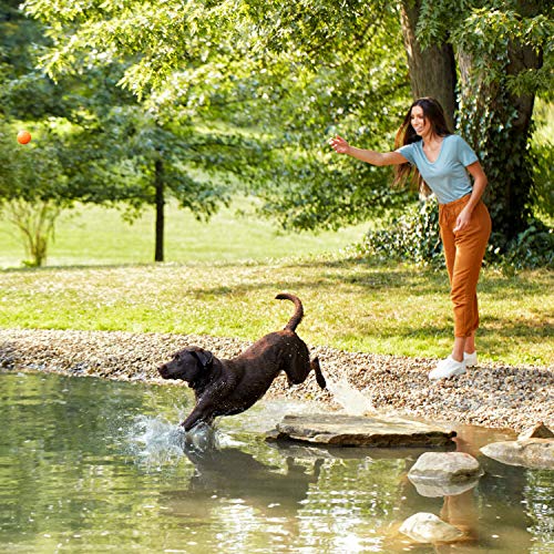 Grain-Free Sweet Potato & Pumpkin Dog Food 23lbs