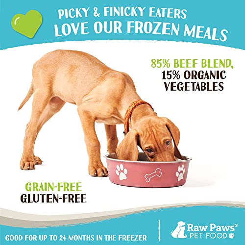 Raw Paws Beef & Veggie Dog Food Rolls