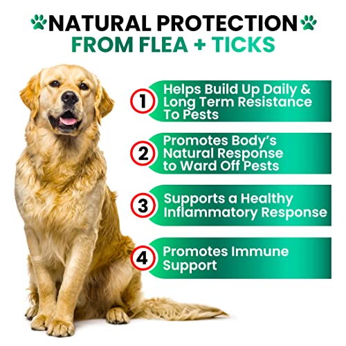 Natural Flea & Tick Chewables for Dogs