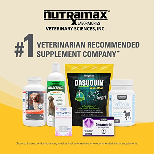 Dasuquin MSM Joint Health Supplement for Dogs