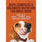 Purina Moist and Meaty Cheddar Burger Dog Food