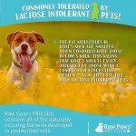 Raw Goat Milk for Dogs & Cats - 16 oz