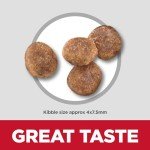 Hill's Science Diet Small Breed Chicken Dog Food