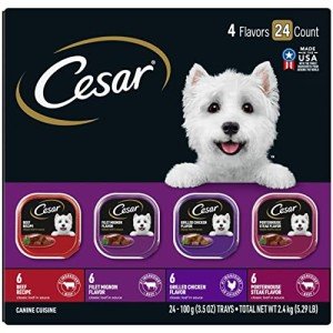 Cesar Beef & Filet Mignon Wet Dog Food