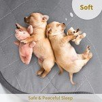 Extra Large Washable Dog Pee Pad - 34" x 52