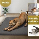 Extra Large Washable Dog Pee Pad - 34" x 52