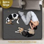 Extra Large Washable Dog Pee Pad - 34" x 52