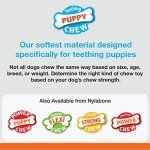 Nylabone Puppy Chew Toy - Petite Ring Bone