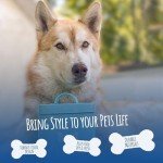 Stylish Metal Pet Treat Jar with Airtight Lid