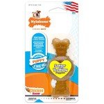 Nylabone Puppy Chew Toy - Petite Ring Bone