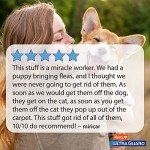 Hartz UltraGuard Flea & Tick Home Spray, 16oz