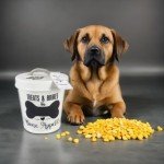 Large Ceramic Pet Treat Jar with Lid