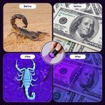 UV Flashlight Black Light, Consciot 12 LED 395nm Ultraviolet Blacklight, Portable Mini Torch Light Pet Urine Detector for Dog/Cat Urine, Dry Stains, Bed Bug, Matching with Pet Odor Eliminator