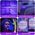 Black Light UV Flashlight,Vansky Blacklight 12 LED Urine Detector For Dog/Cat/Pet Urine & Dry Stains and Bed Bug On Carpets/Rugs/Floor,Matching with Pet Odor Eliminator