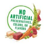 Purina Beneful Gravy Wet Dog Food Variety Pack, Prepared Meals Stew - (12) 10 oz. Tubs