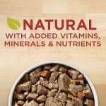 Purina ONE Tender Cuts in Gravy Beef and Barley Entree in Wet Dog Food Gravy - (Pack of 12) 13 oz. Cans