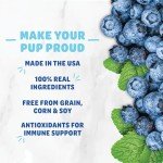 Shameless Pets Dental Treats for Dogs, The Tooth Berry - Healthy Dental Sticks with Immune Support for Teeth Cleaning & Fresh Breath - Dog Bones Dental Chews Free from Grain, Corn & Soy