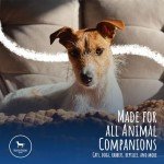 Park Life Designs Ceramic Treat Jar, Kitchen Countertop Container for Dogs, Cats, Puppies and More, Chic Container with Airtight Lid for Cookies, Biscuits and Treats (Manor) (Bones, White, 1.4 Qt)