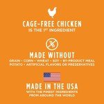 Instinct Freeze Dried Raw Boost Mixers Grain Free Gut Health All Natural Dog Food Topper, 5.5 Ounce (Pack of 1)