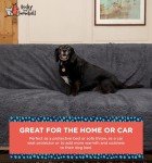 Rocky and Snowball Waterproof Dog Blankets for Large Dogs Washable - Sherpa Dog Blanket for Bed, Pet Covers for Couches and Sofas, Cars, 40x60 - Dark Grey