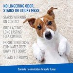 ADAMS Plus Carpet Powder, Kills Fleas and Ticks On Contact, Kills All Stages of the Flea Life Cycle, 30 Day Protection, Freshens and Deodorizes, Treats Up to 400 Sq Ft, 1LB