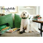 Thoughtfully Pets, Holiday Dog Gourmet Cookies Gift Set, Hand Decorated and Human Grade Ingredients, Crunchy Dog Biscuit Variety Pack Includes Bone Shaped Holiday Themes, 8 Piece Set