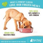 Raw Paws Signature Blend Pet Food for Dogs & Cats - Beef Recipe, 1-lb Rolls (20 Pack) - Fresh Pet Food Made in USA, Grass-Fed Beef Dog Food Log, Natural Dog Food Rolls, Raw Frozen Dog Food & Cat Food