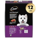 CESAR Small Breed Adult Dry Dog Food Filet Mignon Flavor with Spring Vegetables Garnish Dog Kibble, 12 lb. Bag