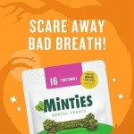 Minties Dental Chews for Dogs, 40 Count, Vet-Recommended Mint-Flavored Dental Treats for Tiny/Small Dogs 5-24 lbs, Dental Bones Clean Teeth, Fight Bad Breath, and Removes Plaque and Tartar