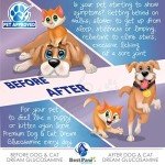 Best Paw Nutrition - Unflavored Liquid Glucosamine for Dogs & Cats - Chondroitin, MSM, Hyaluronic Acid - Dog Arthritis Home Remedy - Joint Supplement for Hip & Joint Pain Relief Pets Love - 16oz